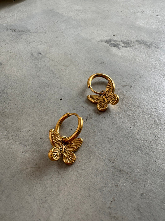 Boucles d’oreilles Butterfly - Or