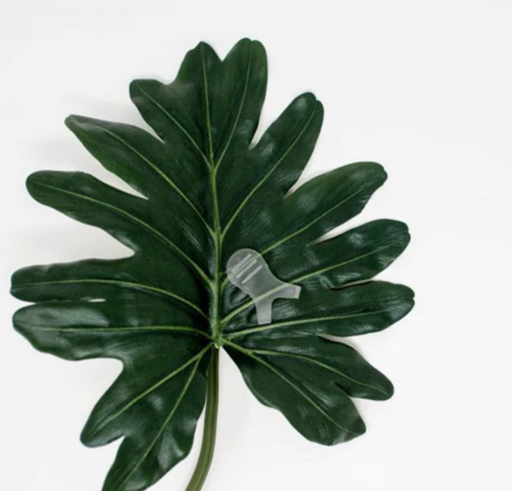 Brosses Y pour Lash Lift Vegan Professionnel | Brosses Réutilisables et Désinfectables (5)